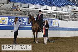 12r13_5312 thumbnail