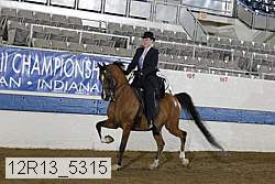 12r13_5315 thumbnail
