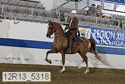 12r13_5318 thumbnail