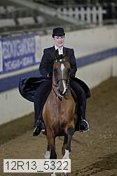 12r13_5322 thumbnail