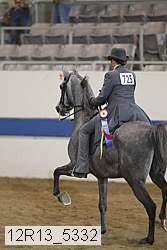 12r13_5332 thumbnail
