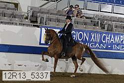 12r13_5337 thumbnail