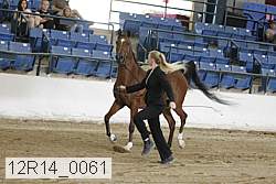 12r14_0061 thumbnail