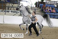 12r14_0065 thumbnail