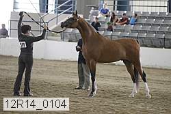 12r14_0104 thumbnail