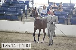 12r14_0109 thumbnail