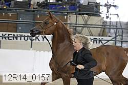 12r14_0157 thumbnail