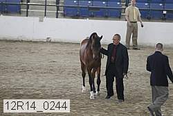 12r14_0244 thumbnail