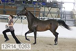 12r14_0263 thumbnail