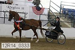 12r14_0333 thumbnail