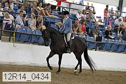 12r14_0434 thumbnail