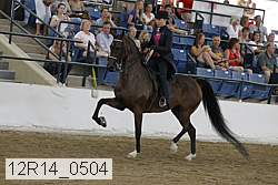 12r14_0504 thumbnail