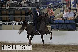 12r14_0525 thumbnail