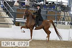12r14_0729 thumbnail