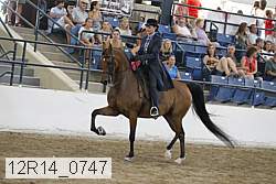 12r14_0747 thumbnail