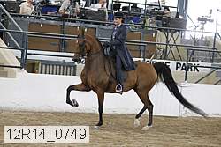12r14_0749 thumbnail