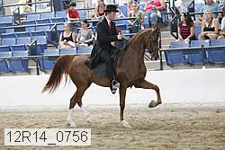 12r14_0756 thumbnail
