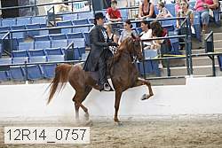 12r14_0757 thumbnail