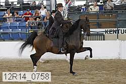 12r14_0758 thumbnail