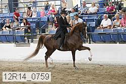 12r14_0759 thumbnail