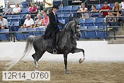 12r14_0760 thumbnail