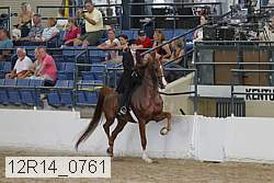 12r14_0761 thumbnail