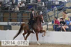 12r14_0762 thumbnail