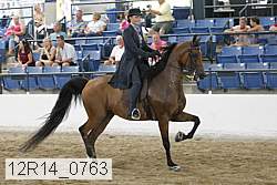 12r14_0763 thumbnail