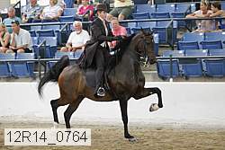 12r14_0764 thumbnail