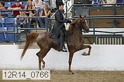 12r14_0766 thumbnail