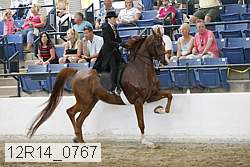12r14_0767 thumbnail