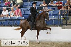 12r14_0768 thumbnail