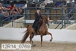 12r14_0769 thumbnail
