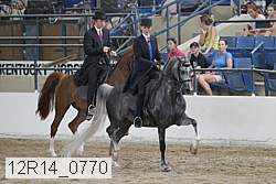 12r14_0770 thumbnail