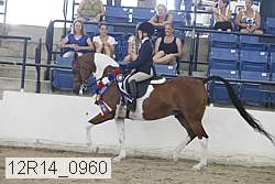 12r14_0960 thumbnail