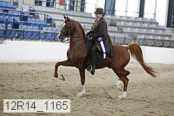 12r14_1165 thumbnail