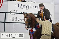 12r14_1169 thumbnail