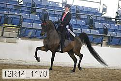 12r14_1170 thumbnail