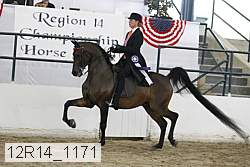 12r14_1171 thumbnail