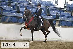 12r14_1172 thumbnail