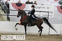 12r14_1173 thumbnail