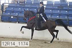 12r14_1174 thumbnail