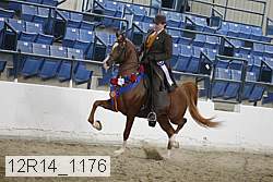 12r14_1176 thumbnail