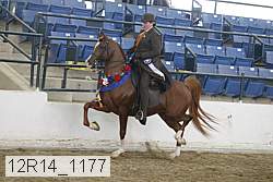 12r14_1177 thumbnail