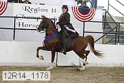 12r14_1178 thumbnail