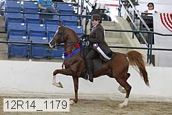 12r14_1179 thumbnail