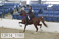 12r14_1180 thumbnail