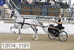 12r14_1191 thumbnail