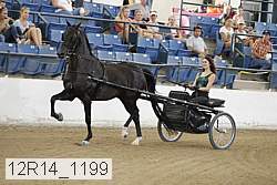 12r14_1199 thumbnail