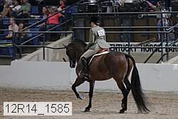 12r14_1585 thumbnail